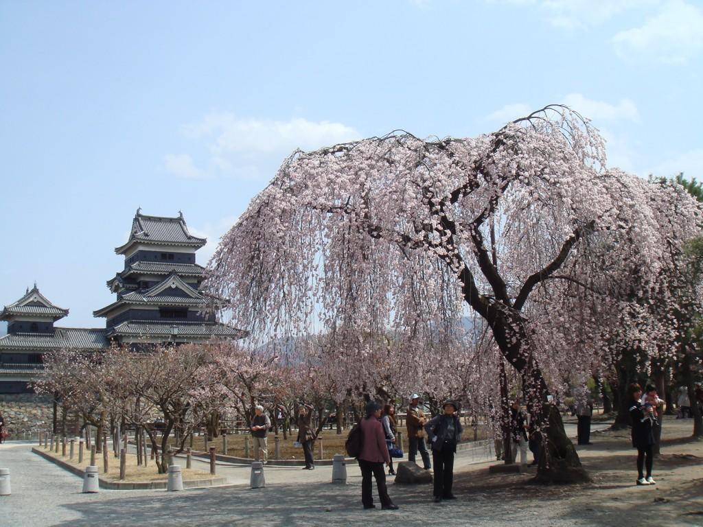 Marunaka Ryokan Matsumoto Exterior foto